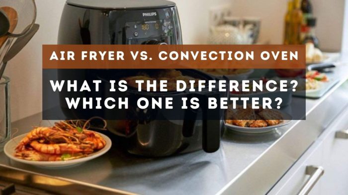 Air.Fryers.vs.Microwaves.Which.Is.Better.2024.1080p.WEB.H264-CBFM – 1.9 GB Air Fryers vs. Ovens: Which Appliance is Right for You?