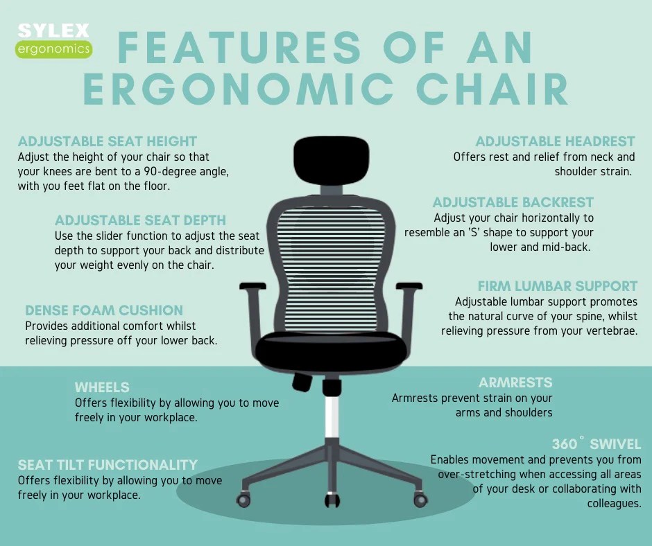 15 Work-From-Home Essentials that Will Make Life So Much Easier | Gypsy Tan Ergonomic Essentials: Products for a Healthier Workspace