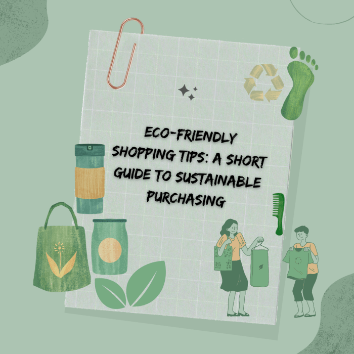 Eco-friendly Shopping Tips: A Short Guide To Sustainable Purchasing ... Sustainable Living: Eco-Friendly Products for Your Home