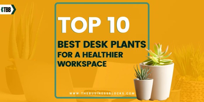 The Benefits of Renting Indoor Plants for a Healthier Workspace ...