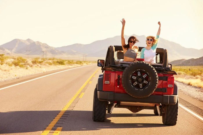 The Ultimate Road Trip Packing List — 49 Essentials for 2024 Road Trip Ready: Must-Have Car Accessories