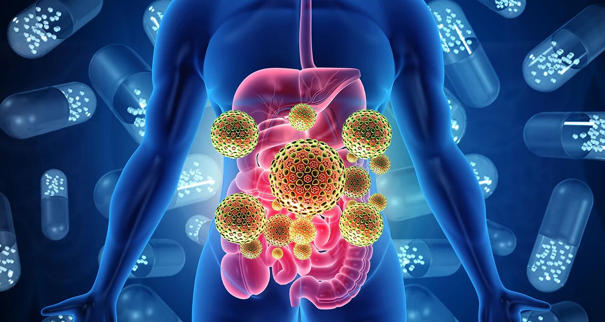 Digestive Health: Probiotics and Gut-Friendly Products